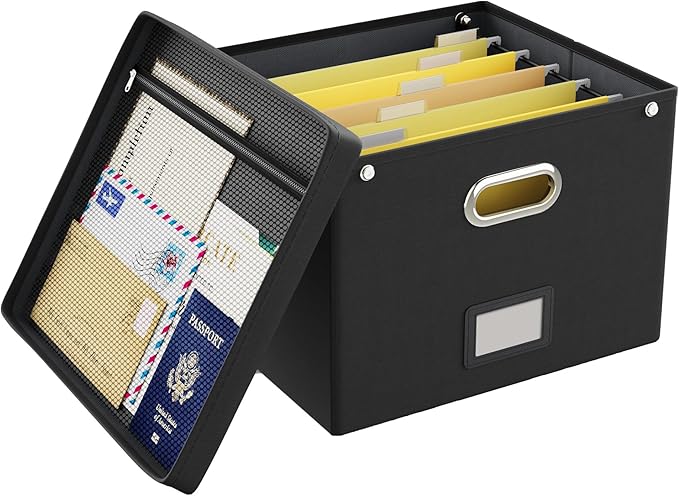 Oterri File Organizer Box with Lid,Large Hanging Filing Box with Mesh Pocket, Document c for Letter Files, Portable Storage Case with Smooth Sliding Rail for Office&Home (1 PCS, Black)-DeskLoop Office