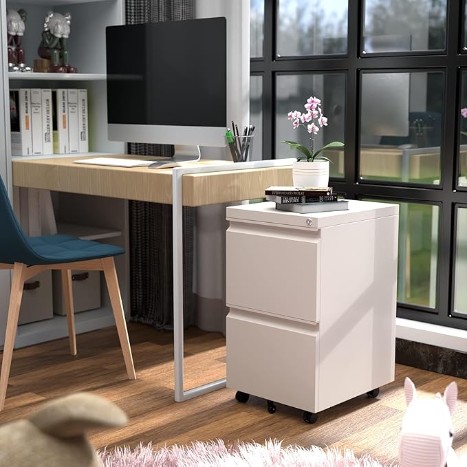 Aobabo 2 Drawer File Cabinet with Lock,Metal Filing Cabinet with Wheels for Home Office & Business Enterprise, Legal/Letter Size, Fully Assembled Except Wheels, White-DeskLoop Office