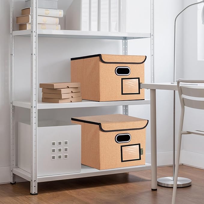 BALEINE File Organizer Box with Lid, Collapsible File Folder Organizer with Plastic Slide, Hanging File Folder Box for Office Document Storage (1 Pack, Orange)-DeskLoop Office