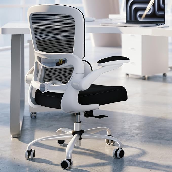TRALT Office Chair - Ergonomic Desk Chair with Adjustable Lumbar Support, Mesh Computer Chair, Executive Chairs for Home Office Comfortable Lumbar Support (White+Black)-DeskLoop Office