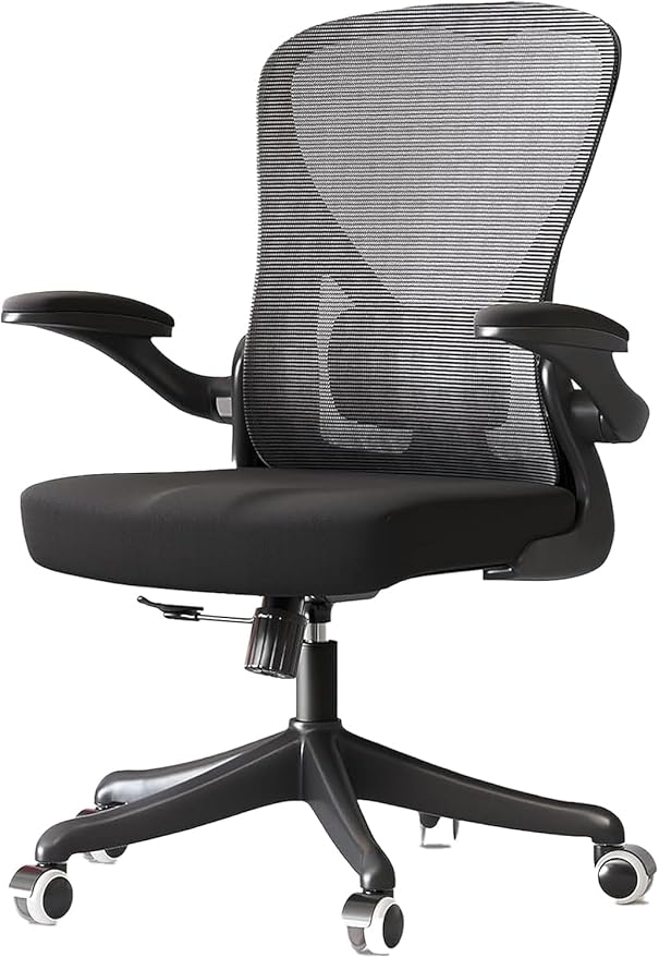 Ergonomic Office Chair with Adjustable Lumbar Support & Flip-Up Armrests - High Back Computer Desk Chair with Thickened Seat Cushion, Rolling Wheels for Home/Office Study Work (01Blcak)-DeskLoop Office