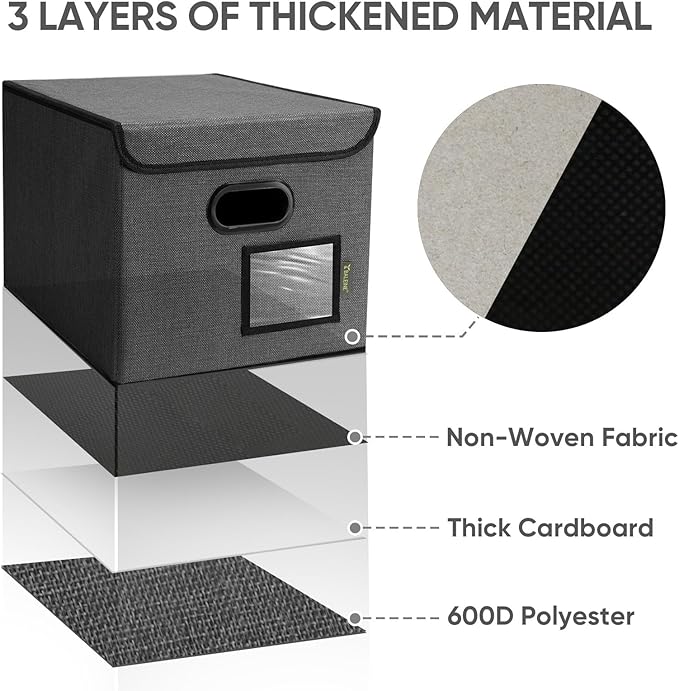 BALEINE File Organizer Box with Lid, Collapsible File Folder Organizer with Plastic Slide, Hanging File Folder Box for Office Document Storage (2 Pack, Black)-DeskLoop Office