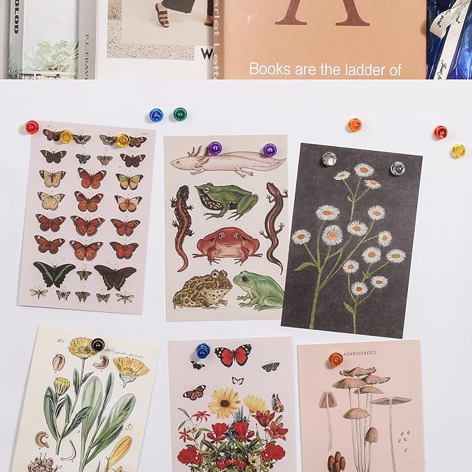 60PCS Colorful Strong Magnetic Push Pin Magnets, 6 Assorted Color for Office, Classroom, Kitchen Home and School, Map Magnets, Whiteboard Magnet-DeskLoop Office