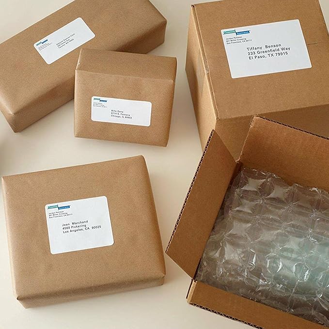 2"x4" Shipping Address Labels, FBA 10 Up Address mailing Labels, White Sticker Address Labels for Laser/Inkjet Printer (100 Sheets, 1000 Labels)-DeskLoop Office