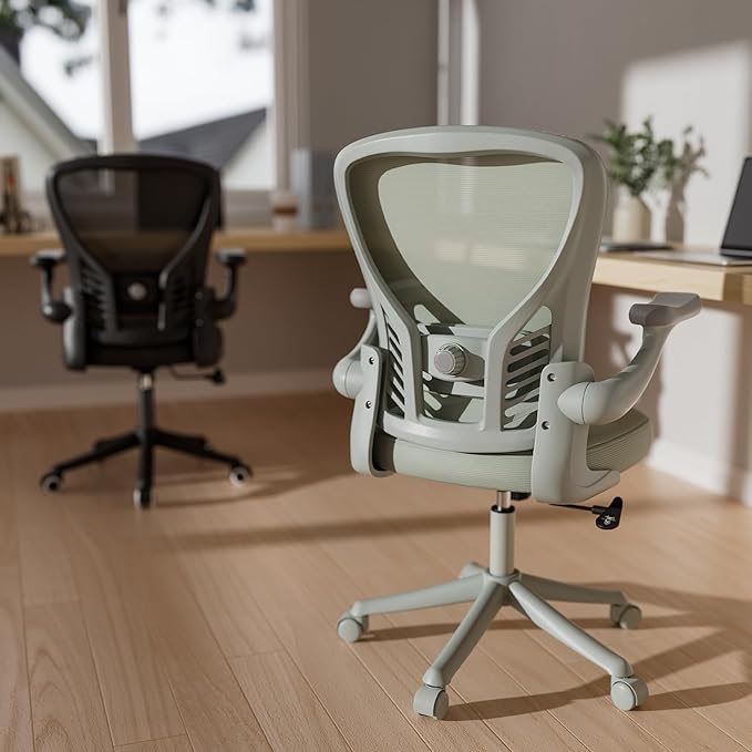 GYI Computer Desk Chair, Ergonomic Office Desk Chairs with Mesh Back, Adjustable Lumbar Support, Height, 3D Flip-up Arms, Wheels, Rocking Function, Grey-DeskLoop Office