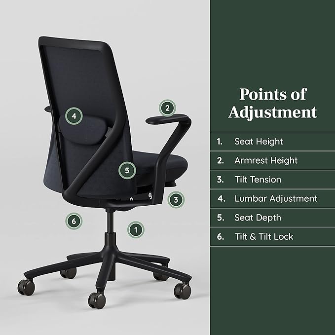 Branch Verve Chair - High Performance Executive Office Chair with Contoured Seat Back and Adjustable Lumbar Rest - High Density Foam Cushion with Aluminum Base - Up to 275 lbs - Galaxy-DeskLoop Office