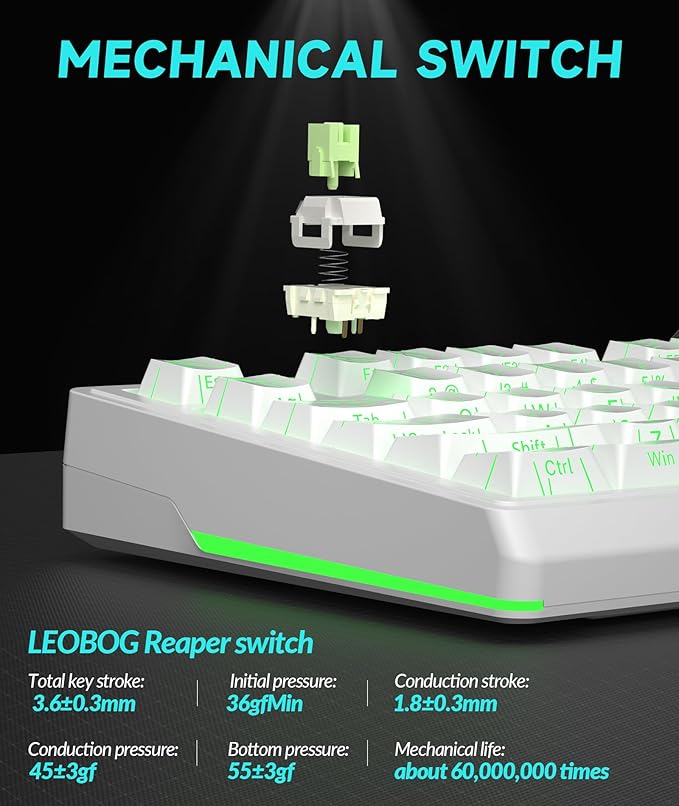 KI99 Pro 96% Wireless Mechanical Keyboard, RGB Gaming Keyboard, Hot-Swappable Pre-Lubed Switches, Gasket Structure Creamy Keyboards for Gamer/PC/Laptop (White)-DeskLoop Office