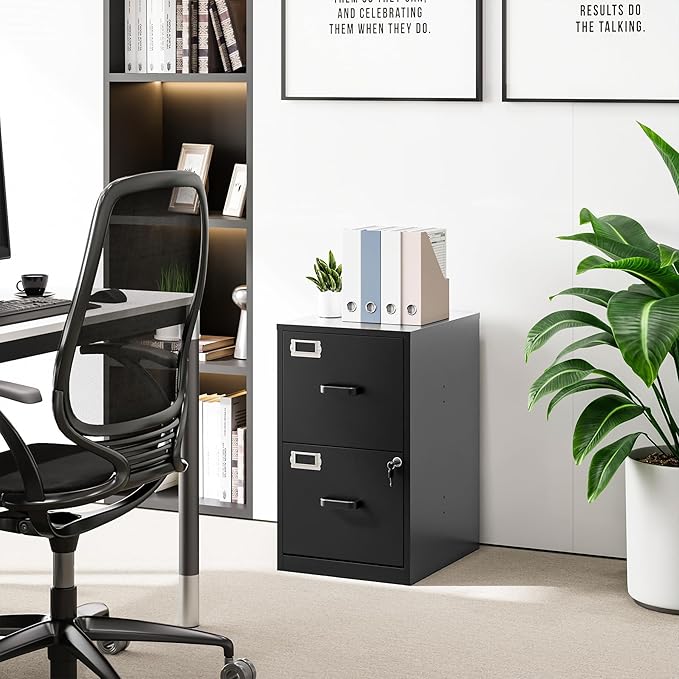 2 Drawer File Cabinet with Lock Vertical Filing Storage Cabinet Office Home Steel Vertical File Cabinets for Letter Size File Cabinet Locked,Assembly Required-DeskLoop Office