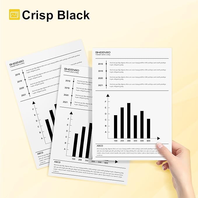 245XL Ink Cartridge Replacement for Canon 245XL Black Ink PG-245XL 245 XL PG-243 243XL for Pixma TR4520 TR4527 MX492 MX490 MG2522 MG2525 MG2920 TS202 TS302 TS3320 TS3322 MG2420 IP2820 (2 Black)-DeskLoop Office