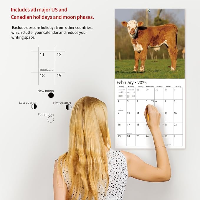 2025 Wall Calendar,Calendar 2025, January 2025 - December 2025, Wall Calendar Baby Moo Moos, 12" x 24" Opened,Full Page Months Thick & Sturdy Paper for Calendar Organizing & Planning-DeskLoop Office