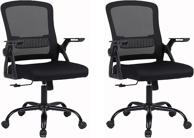 Office Chair, Ergonomic Desk Chair with Lumbar Support, Breathable Mesh Chair with Flip-up Armrests and Mid Back, Comfy Task Computer Height Adjustable Swivel Chair (2, Black)-DeskLoop Office