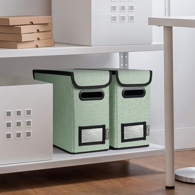 BALEINE File Organizer Box with Lid, Collapsible File Folder Organizer with Plastic Slide, Hanging File Folder Box for Office Document Storage (1 Pack, Green, S)-DeskLoop Office