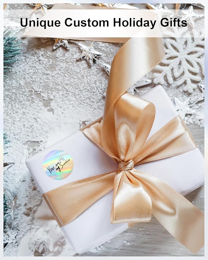 Phomemo 2" inch Round Reflective Thermal Labels, Color Self-Adhesive Stickers Label, Relly Cool Thermal Printer Label for Address, Logo, Shipping, Barcodes, QR Code (400 Labels/Rolls,1 Roll-DeskLoop Office