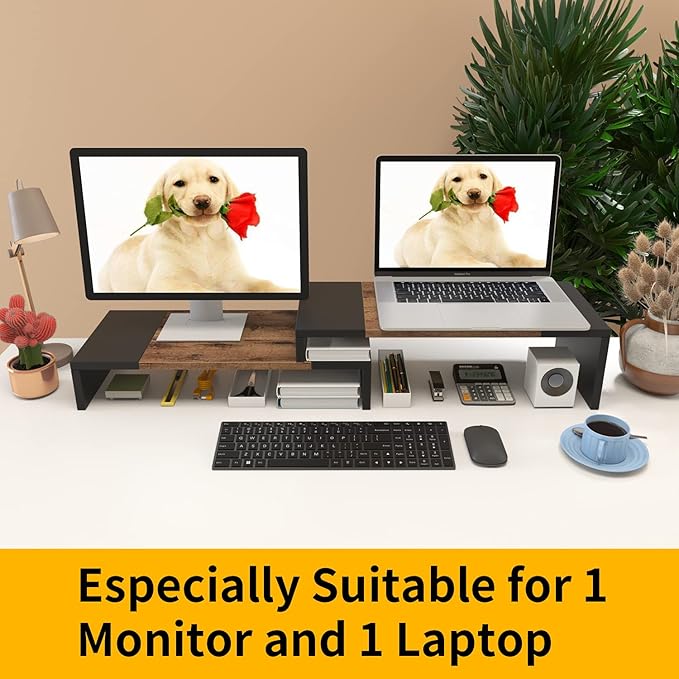 WESTREE Dual Monitor Stand - Riser 2 Shelf Computer with Adjustable Length and Angle, Stands for Monitors, Desktop Organizer PC, Computer, Laptop-DeskLoop Office