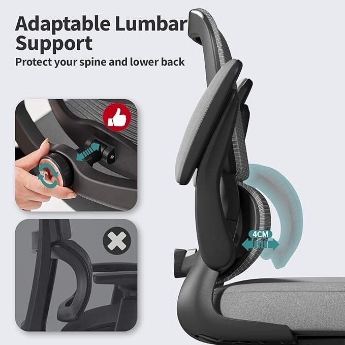 TRALT Office Chair - Ergonomic Desk Chair with Adjustable Lumbar Support, Mesh Computer Chair, Executive Chairs for Home Office Comfortable Lumbar Support (Dark Gray)-DeskLoop Office