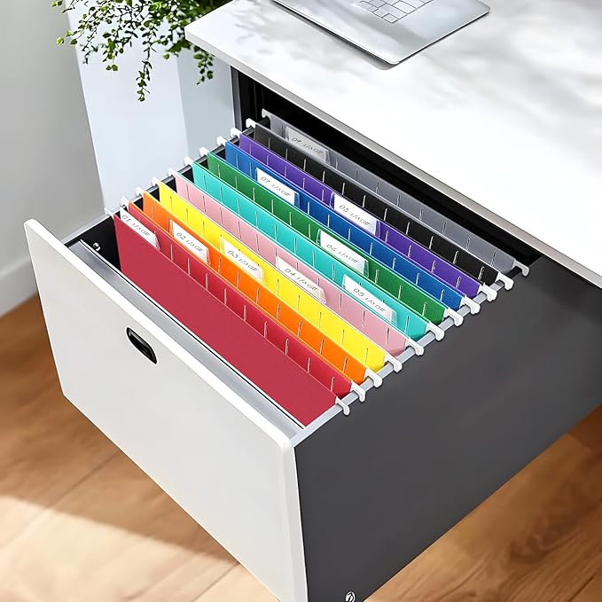 SUNEE Hanging File Folders, 50 Pack Letter Size Hanging File Folders with 1/5-cut Tabs, Stay Organized for Your Home and Office Bulk File, Documents and Paper,10 Assorted Colors-DeskLoop Office