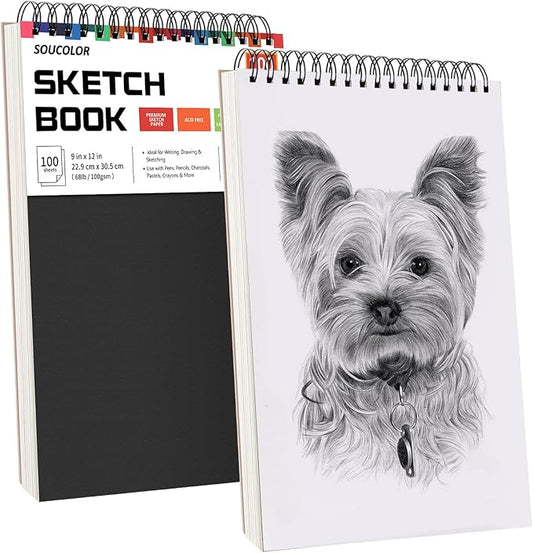 Professional Drawing Supplies for Sketch, Charcoal, Colored, Graphite, Pastel Pencils & Sticks. Soucolor 2-Pack 9" x 12" Sketch Book, 200 Sheets Spiral Bound 68lb/100gsm Paper for Kids Adults Artists-DeskLoop Office