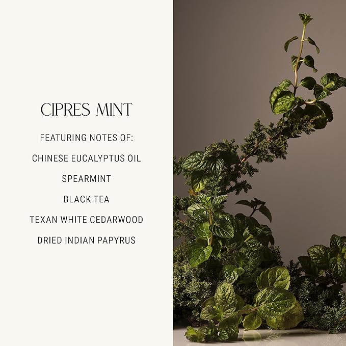 Homecourt All-Purpose Surface Cleaner Spray, Lifts Away Dirt, Smudges & Grease, For Bathroom, Kitchen & more, Clean Formula, Cipres Mint, 16 fl oz-DeskLoop Office