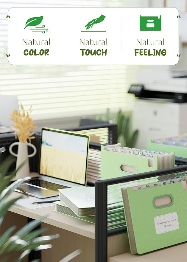 Accordion File Organizer, 12 Pockets Wheat Straw Expanding File Folders, Upright & Open Top, Monthly Bill Receipt Organizer, 100% BPA Free, Return to Nature, Healthy Living, Letter/A4 Size-Mint Green-DeskLoop Office