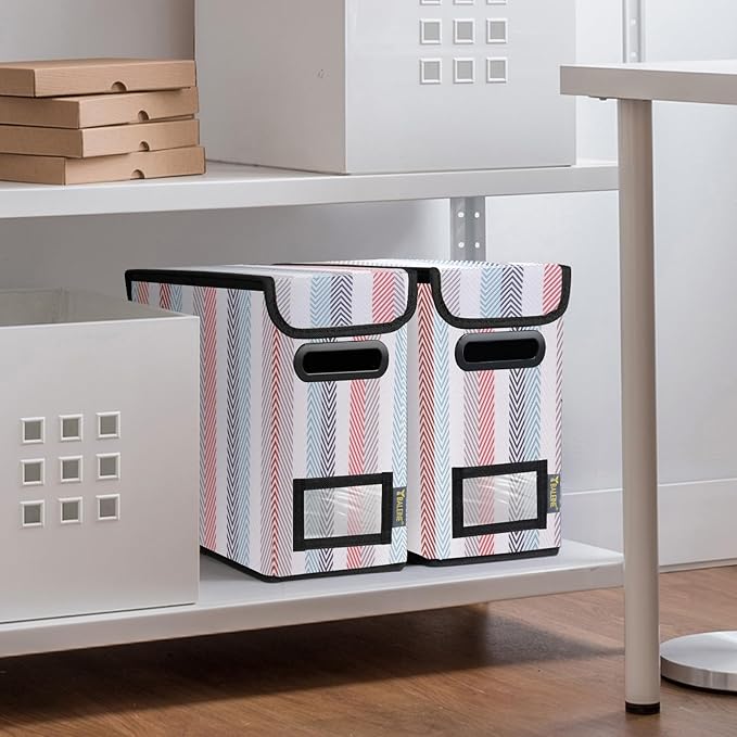 BALEINE File Organizer Box with Lid, Collapsible File Folder Organizer with Plastic Slide, Hanging File Folder Box for Office Document Storage (2 Pack, Color Stripe, S)-DeskLoop Office