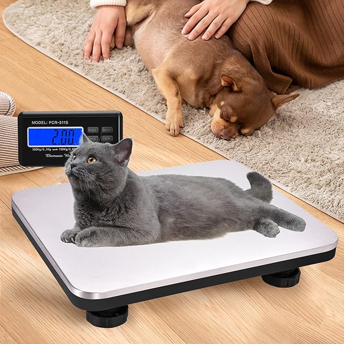Shipping Scale 660lbs LCD Digital Postal Scale, Stainless Heavy Duty Postage Scale for Packages, 300kg Capacity Platform Scale for Shipping Weighing(14"X 12")-DeskLoop Office