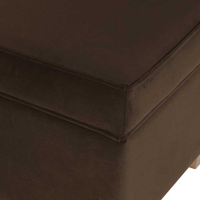 Home Decor | Dinah Collection Modern Storage Ottoman | Ottoman with Storage for Living Room & Bedroom(Chocolate Brown Velvet)-DeskLoop Office