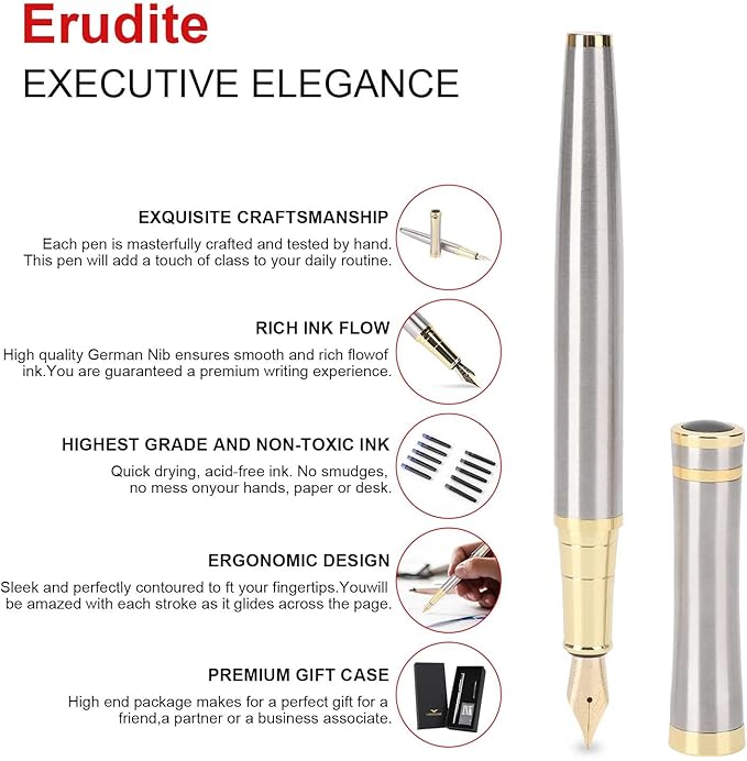 Cheericome Fountain Pen - Luxury Fountain pen set for Men & Women - Ink Pen for Smooth Writing - Fountain Pen Fine Nib,Includes 10 Ink Cartridges and Ink Refill Converter - Silver-DeskLoop Office