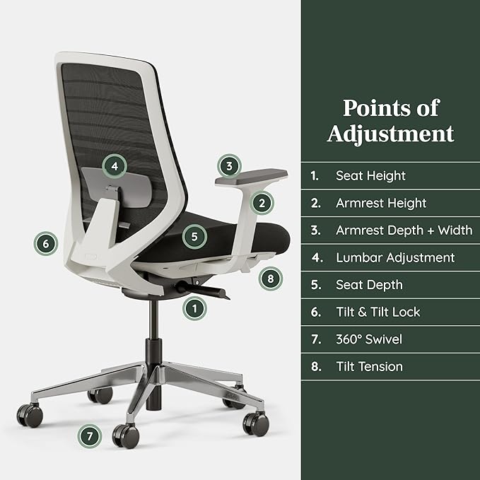 Branch Ergonomic Chair - A Versatile Desk Chair with Adjustable Lumbar Support, Breathable Mesh Backrest, and Smooth Wheels - Experience Optimal Comfort and Support - Black-DeskLoop Office