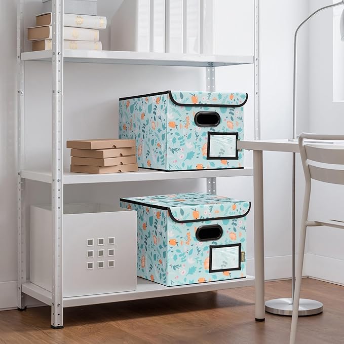 BALEINE File Organizer Box with Lid, Collapsible File Folder Organizer with Plastic Slide, Hanging File Folder Box for Office Document Storage (2 Pack, Spring Stroll)-DeskLoop Office