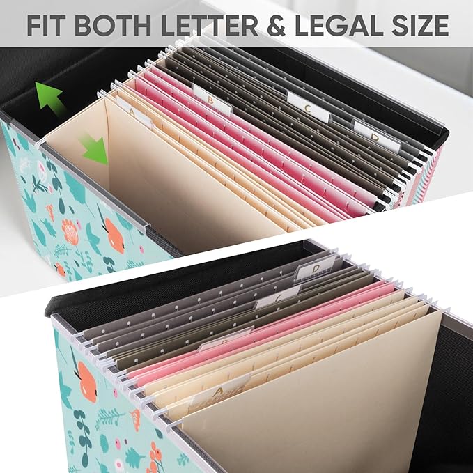 BALEINE File Organizer Box with Lid, Collapsible File Folder Organizer with Plastic Slide, Hanging File Folder Box for Office Document Storage (1 Pack, Spring Stroll)-DeskLoop Office