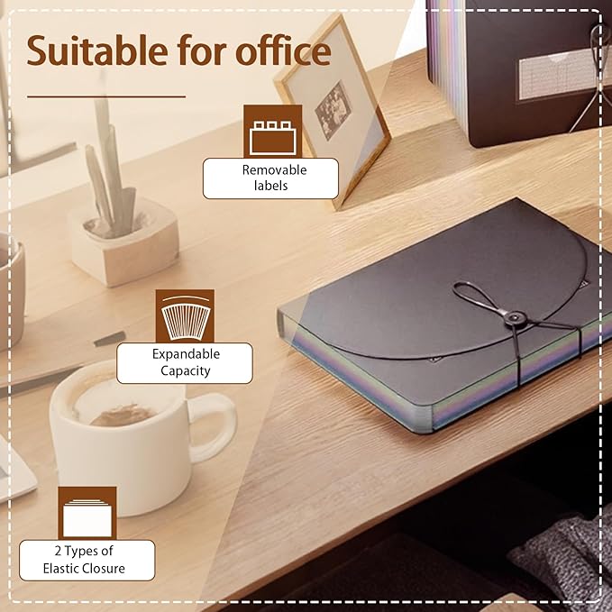 Accordion File Organizer,13 Pockets Expanding File Folder with Blank Labels,Portable Monthly Paper Bill Tax Receipt Organizer,Desktop Folders A4 Letter Paper Document Storage Organize,Black-DeskLoop Office