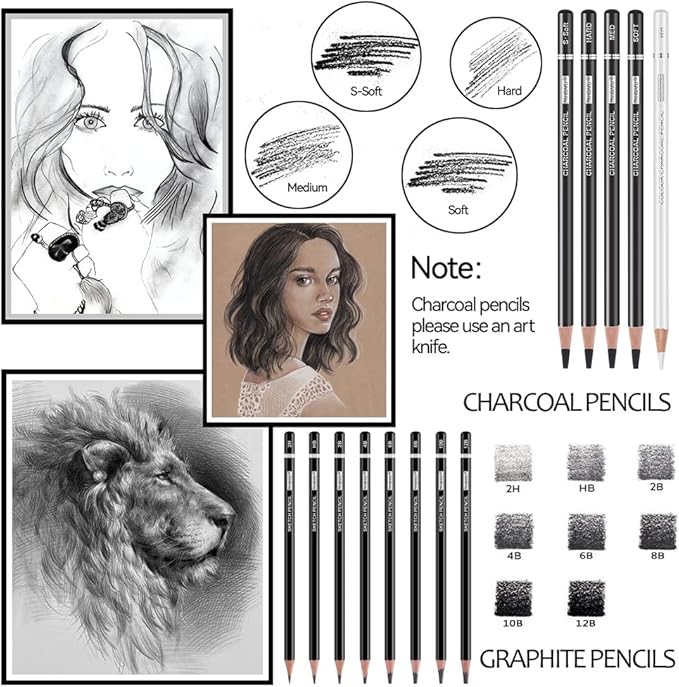 PANDAFLY Drawing Sketching Pencil Set, 22 Piece Pro Art Pencil Kit - Graphite Pencils (12B-2H), Black and White Charcoal Pencils, Charcoal Sticks, Stumps, Eraser, Sharpeners-DeskLoop Office