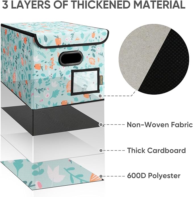 BALEINE File Organizer Box with Lid, Collapsible File Folder Organizer with Plastic Slide, Hanging File Folder Box for Office Document Storage (2 Pack, Spring Stroll)-DeskLoop Office