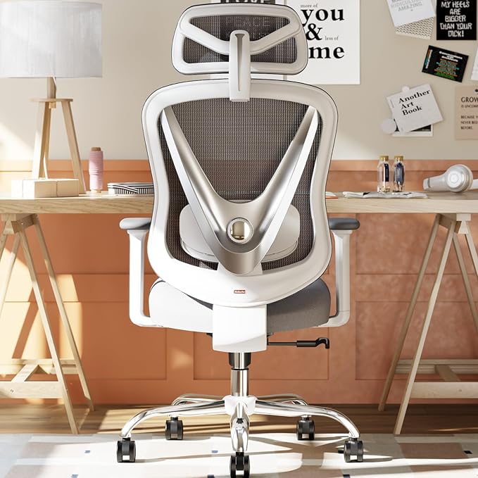 Ergonomic Mesh Office Chair - 3D Adjustable Lumbar Support & 3D Armrests, V-Shaped Back, Adjustable Desk Chair for Office & Home, White-DeskLoop Office