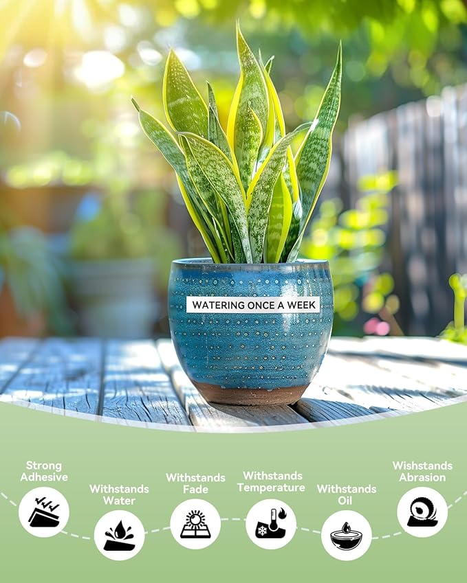 12mm 0.47 Laminated White Tape Tze Tz Label Compatible with Brother P-touch 1/2 Inch Black on White P Touch Label Maker TZe231 for PT-D210 1280 1750 PT-P300BT PT-P700BT Cube Plus Tape, 10-Pack-DeskLoop Office