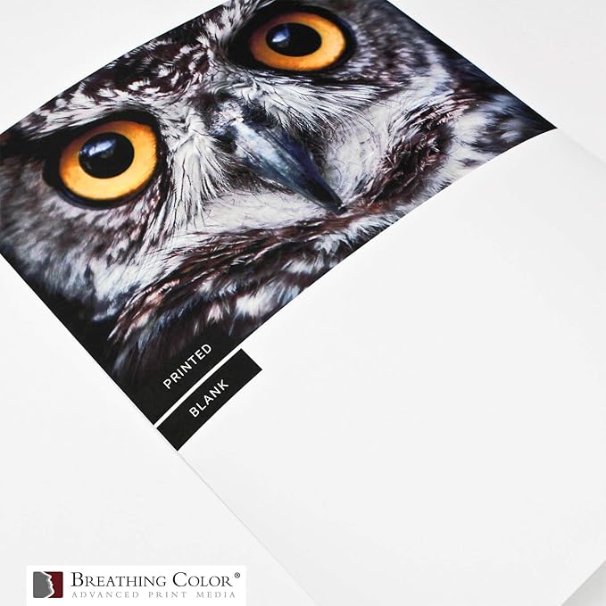 Vibrance Matte Photo Printer Paper 12 mil 230 gsm Matte Finish Premium Photo Paper Roll on 3in Core 36 inches x 100 ft Works with Most Inkjet Printer Professional Makes and Models Like Epson Canon HP-DeskLoop Office