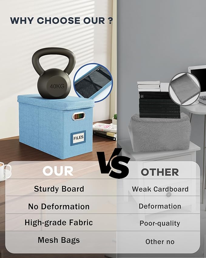 Oterri File Organizer Box with Lid, Hanging Filing File Box with Mesh Pocket, Document Organizer Box for Letter Files, Portable Storage Box with Smooth Sliding Rail for Office&Home (2 PCS, Sky-blue)-DeskLoop Office