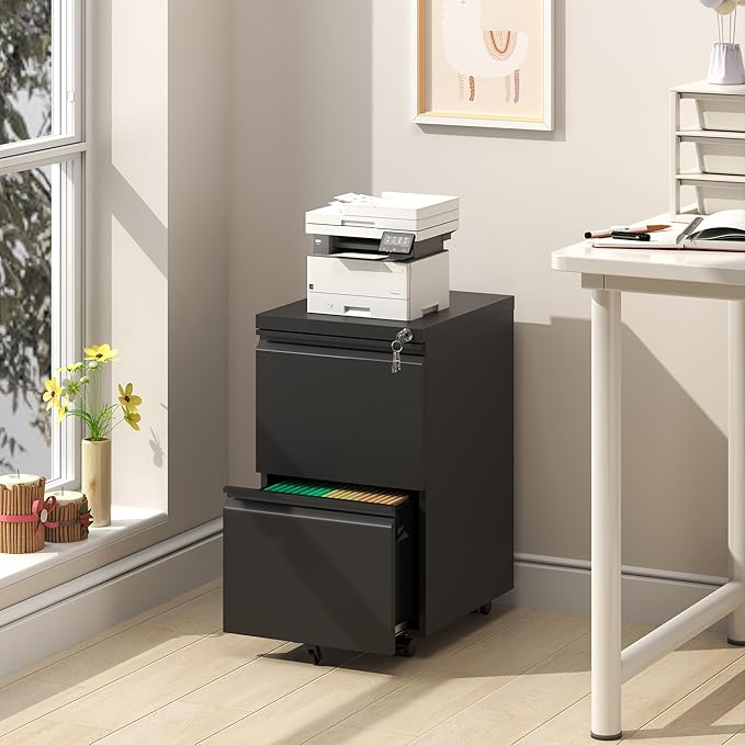 2 Drawer Mobile File Cabinet, Filing Cabinet Home Office for Letter, Legal Size, Fully Assembled Under Desk File Cabinet, Blac-DeskLoop Office