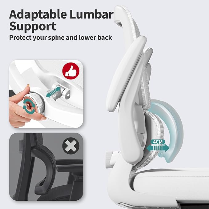 Office Chair - Ergonomic Desk Chair with Adjustable Lumbar Support, Mesh Computer Chair, Executive Chair for Home Office Comfortable Lumbar Support (White White)-DeskLoop Office