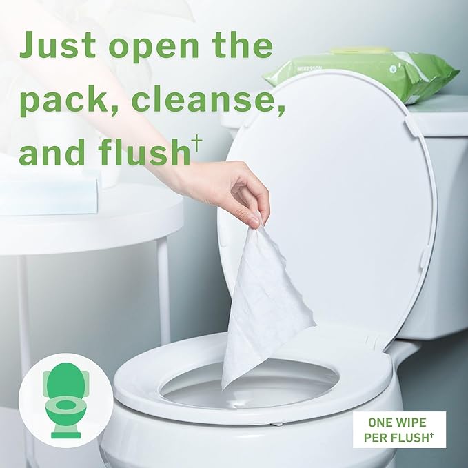 McKesson Flushable* Adult Wet Wipes – 576 Wipes (12 Pack of 48) – Aloe & Vitamin E, Plant-Based Cleansing Wipes, Scented-DeskLoop Office