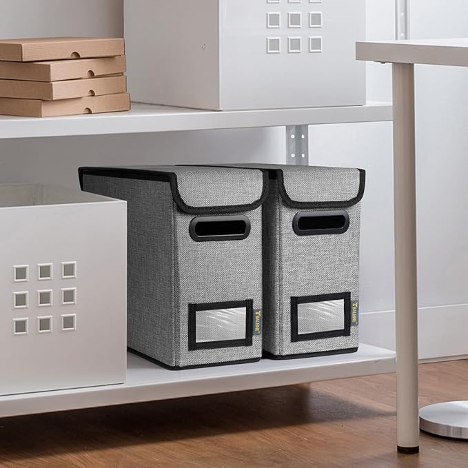 BALEINE File Organizer Box with Lid, Collapsible File Folder Organizer with Plastic Slide, Hanging File Folder Box for Office Document Storage (2 Pack, Grey, S)-DeskLoop Office