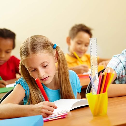 EBOOT 20 Pack Clear Plastic 12 Inch Straight Flexible Ruler with Inches and Metric for School, Classroom, Home, or Office-DeskLoop Office