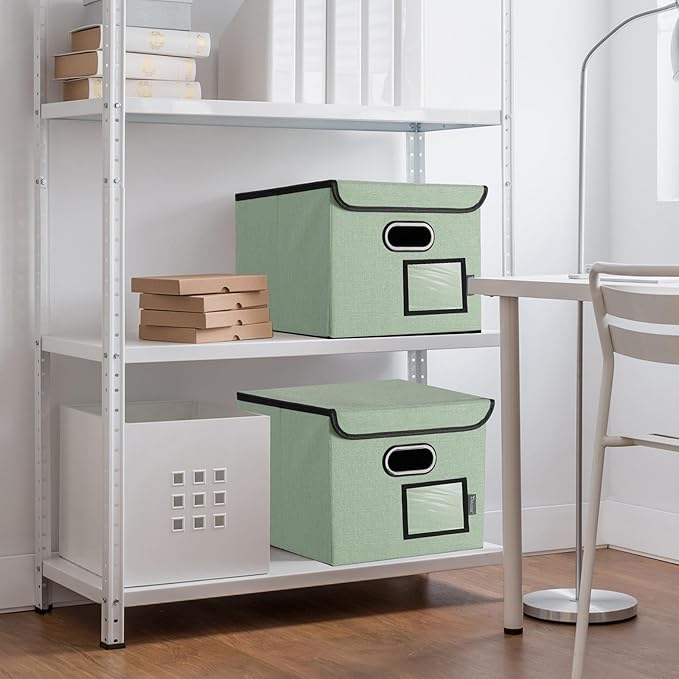 BALEINE File Organizer Box with Lid, Collapsible File Folder Organizer with Plastic Slide, Hanging File Folder Box for Office Document Storage (2 Pack, Green)-DeskLoop Office