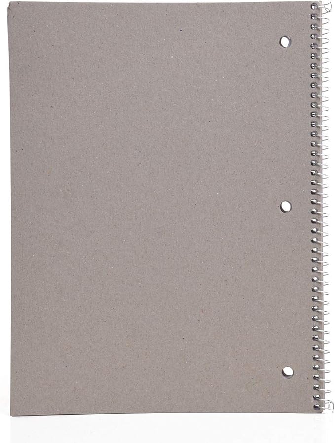 Mintra Office Spiral Notebooks - 1 Subject, 70 Sheets, College Ruled, 8in x 10in, Bulk Pack, Pastel Covers, Set of 6 - for School, Office, Business, Professional (04693)-DeskLoop Office