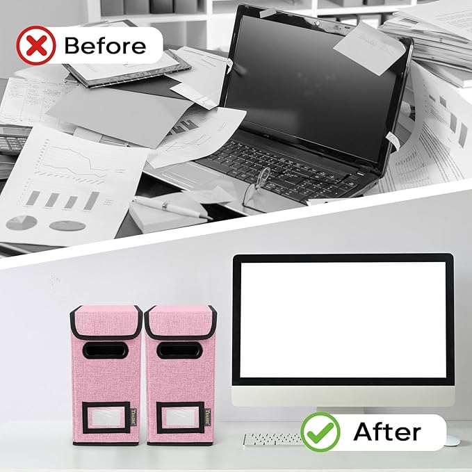 BALEINE File Organizer Box with Lid, Collapsible File Folder Organizer with Plastic Slide, Hanging File Folder Box for Office Document Storage (2 Pack, Pink, S)-DeskLoop Office