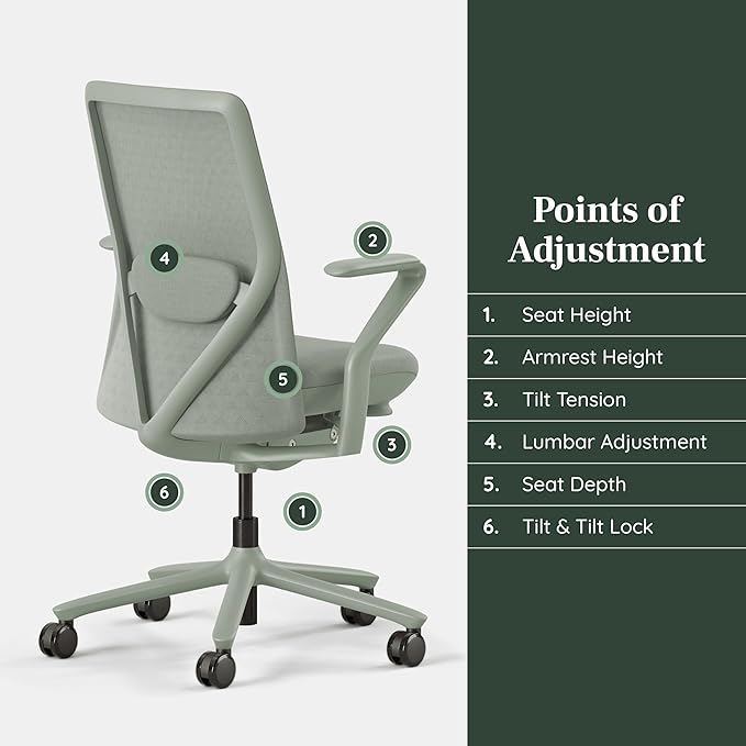 Branch Verve Chair - High Performance Executive Office Chair with Contoured Seat Back and Adjustable Lumbar Rest - High Density Foam Cushion with Aluminum Base - Up to 275 lbs - Mint-DeskLoop Office