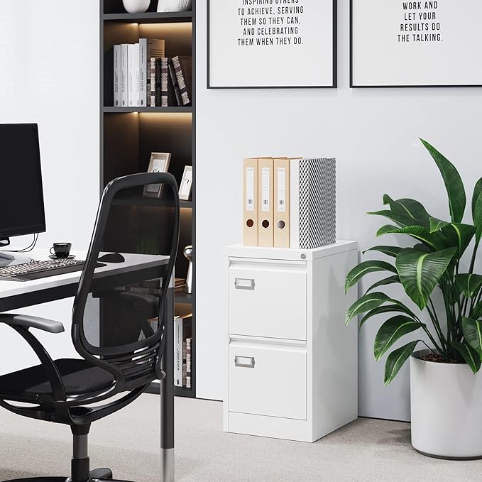 2 Drawer File Cabinet with Lock Metal Vertical Filing Storage Cabinet Office Home Steel Vertical File Cabinets for A4 Legal/Letter Size Narrow File Cabinet Locked,Assembly Required-DeskLoop Office