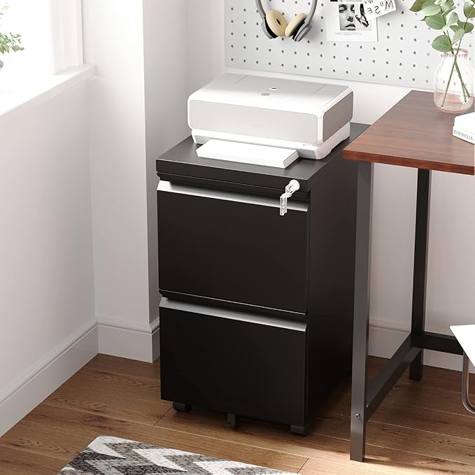 Letaya 2 Drawer Mobile File Cabinet with Lock, Under Desk Metal Rolling Filing Cabinets for Home Office Organizer Letters/Legal/A4 (Black- Requires Installation)-DeskLoop Office