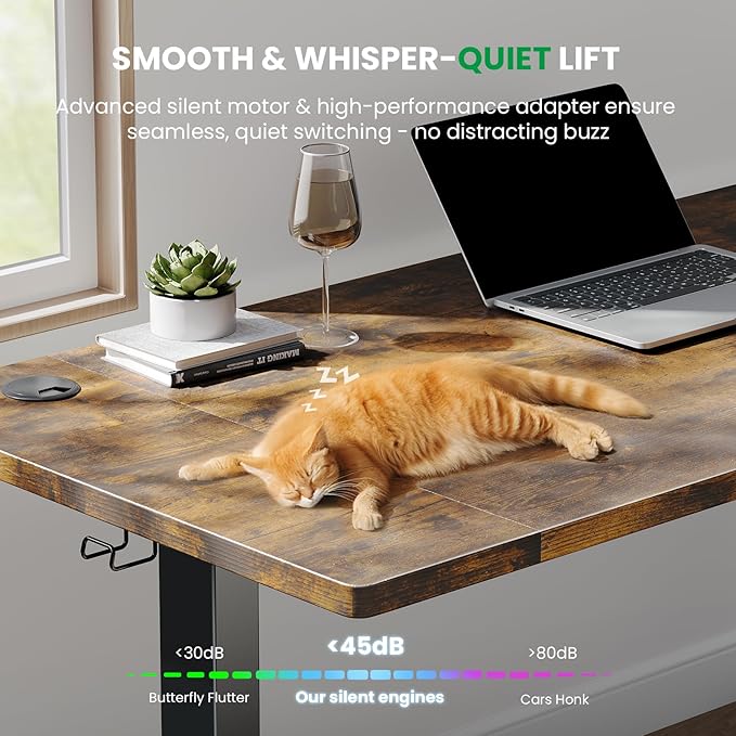 SIAGO Electric Standing Desk Adjustable - 55 x 24 Inch Sit Stand up Desk with Cable Management - 3 Memory Preset Adjustable Height Table-DeskLoop Office