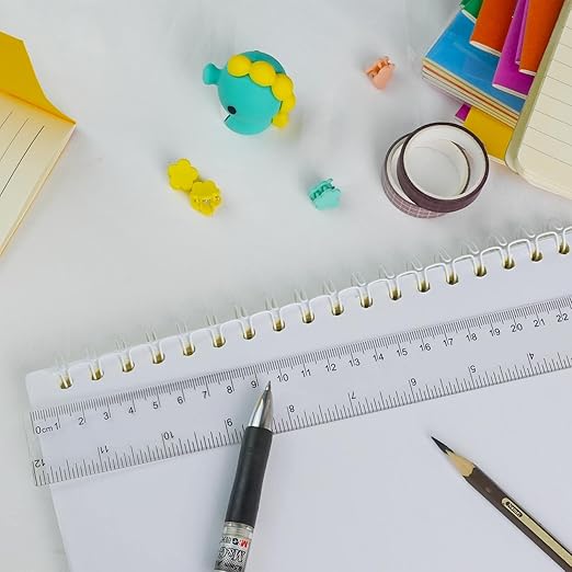 30 Packs Clear Plastic Ruler 12 Inch with Centimeter and Millimeter, Metric Rulers Bulk for Kids Classroom School Office-DeskLoop Office